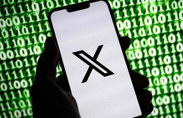 The Supreme Court authorizes the reactivation of X in Brazil