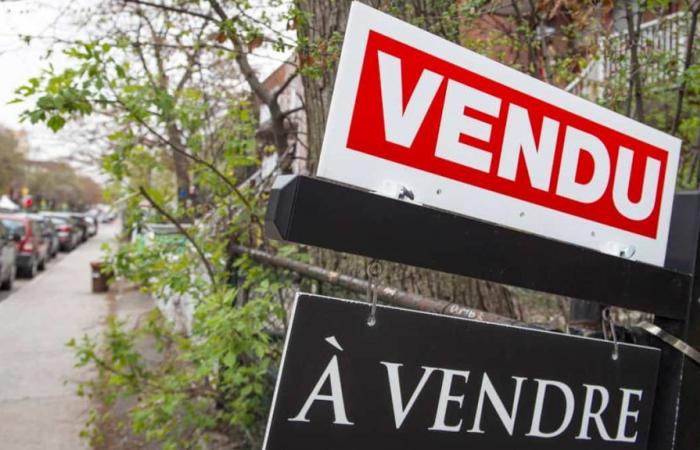 A significant increase in real estate transactions, according to RE/MAX Québec