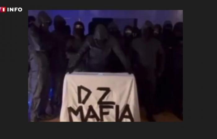 Assassinations in Marseille: in a video, DZ Mafia refutes any involvement, the prosecution opens an investigation