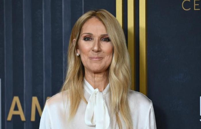 Celine Dion posts an enigmatic tweet and meets her fans tomorrow