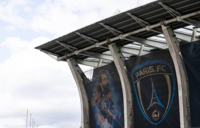 Ligue 2. Paris FC about to be taken over by the Arnault family and Red Bull