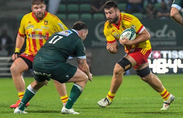 Top 14 – USAP: Mathieu Tanguy, the return of a soldier ready to help a sometimes irregular conquest