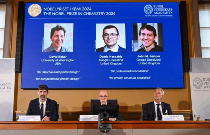 The Nobel Prize in Chemistry awarded to Americans David Baker and John Jumper and to Briton Demis Hassabis