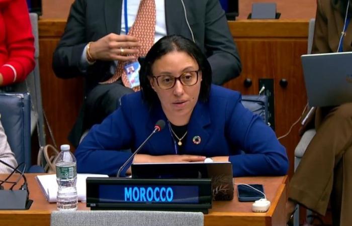 At the UN, Majda Moutchou expels an Algerian diplomat for comments hostile to Morocco