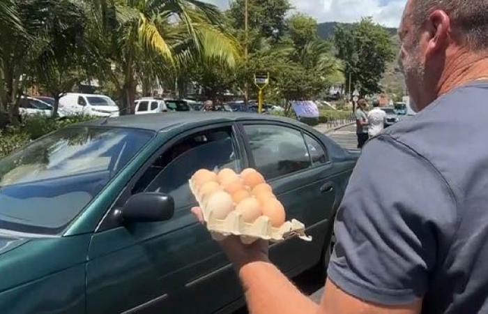 Saint-Denis: 8,000 eggs were distributed by employees of the Couvée d’Or company