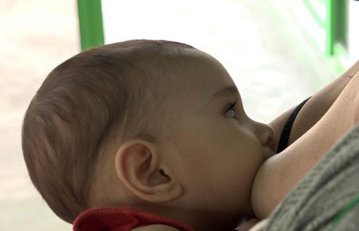 a telephone line to support breastfeeding • TNTV Tahiti Nui Télévision