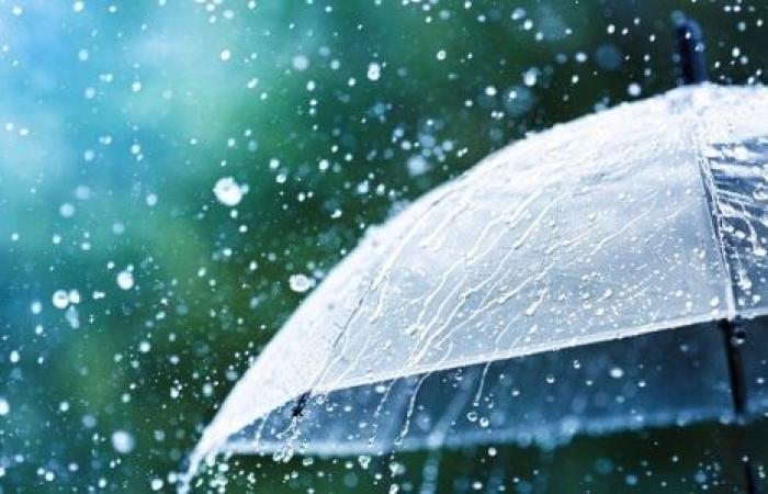 Weather: Rain and storms expected in 8 regions of Senegal