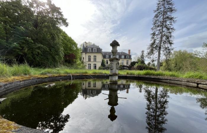 What will become of the cursed Yvelines castle, sold at auction for more than 900,000 euros?