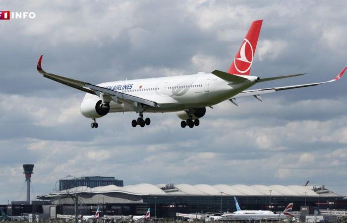 Pilot dies mid-flight, Turkish Airlines plane makes emergency landing in New York