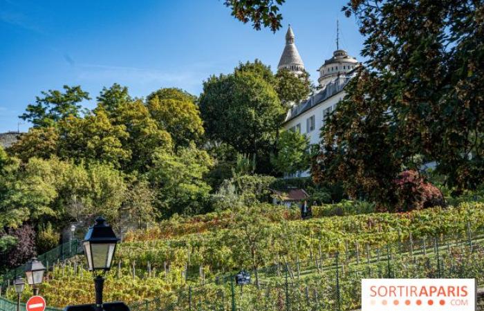 Montmartre Harvest Festival 2024: here are 5 events not to be missed