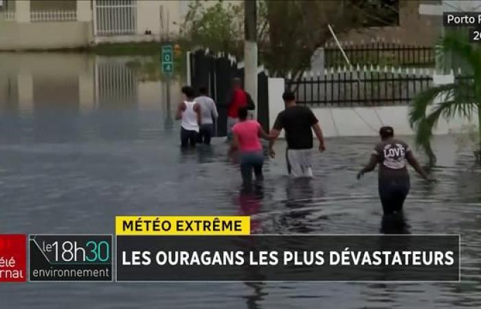 Hurricane Milton makes landfall in Florida | Live coverage