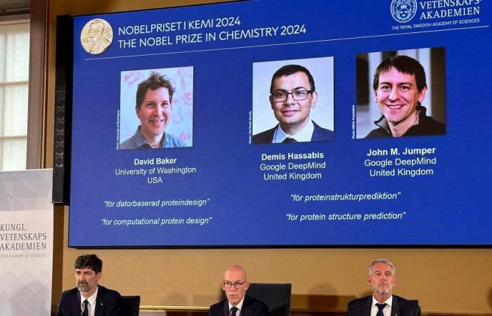 The 2024 Nobel Prize in Chemistry rewards research on proteins