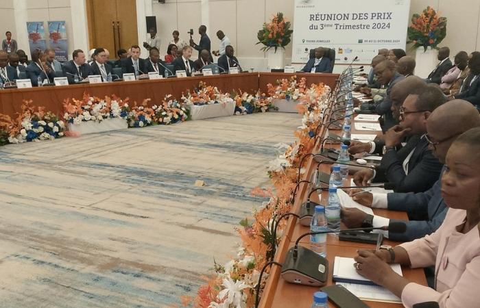 Hydrocarbons: Congo intends to readjust the prices of its reference crude oils