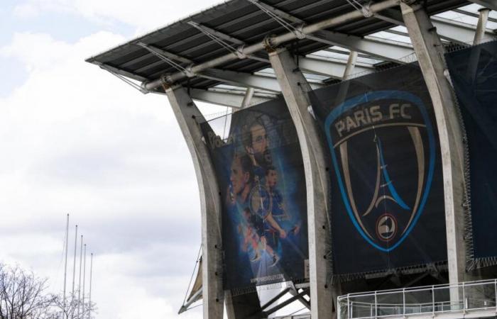 Paris FC will pass into the hands of LVMH