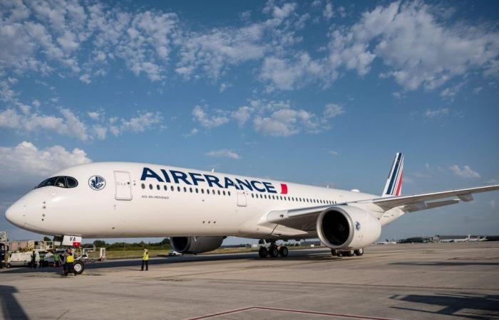 An Air France plane “saw” the missiles fired by Iran against Israel pass