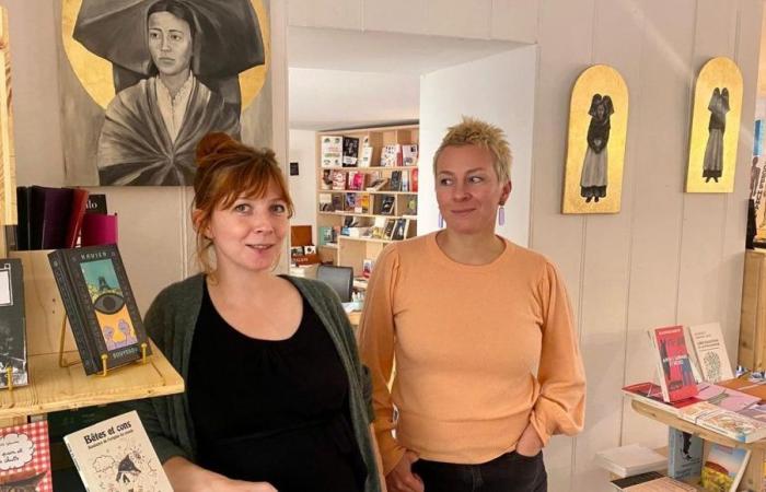 Strasbourg, world capital of books: the Oiseau Rare bookstore “still needs 9,000 euros” to survive