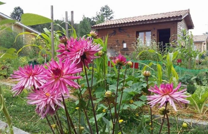 South Gironde. A free workshop to discover tips for natural gardening