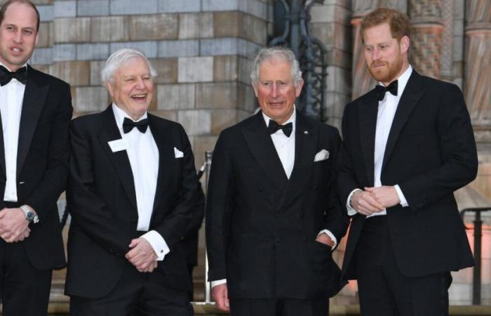 A question of survival? Contacts between Charles III and Prince Harry are monitored by Camilla…