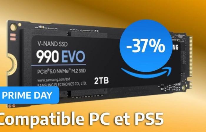 Prime Day: the Samsung 990 Evo 2 TB SSD gets everyone in agreement by lowering its price by 37%!