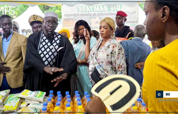 SENEGAL-ECONOMY-GENRE / Thiès: Alioune Dionne salutes the dynamism and commitment of women – Senegalese press agency