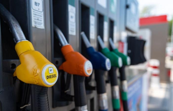 Fuels: “We cannot yet speak of an outbreak…” why prices at the pump are on the rise again