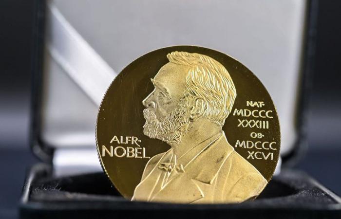 “More targeted drugs”, “faster development of vaccines”, “greener chemical industry”… The Nobel Prize in Chemistry awarded to three researchers for their work on proteins