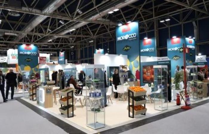 Morocco highlights its know-how at the 16th “Fruit Attraction” Fair in Madrid – AgriMaroc.ma