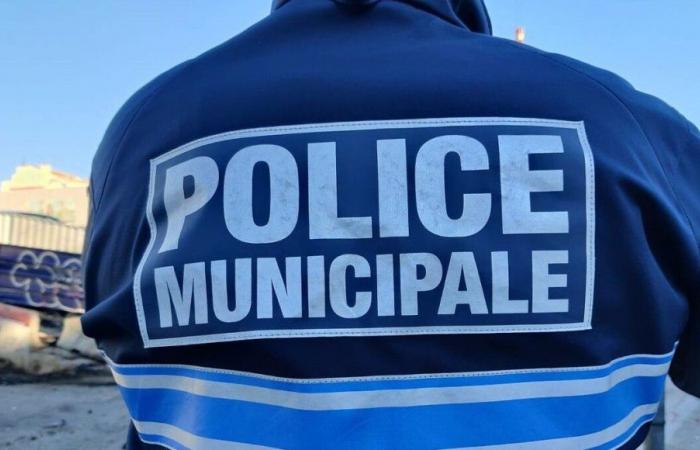 Isère: a municipal police officer seriously injured in Échirolles, struck after refusing to comply