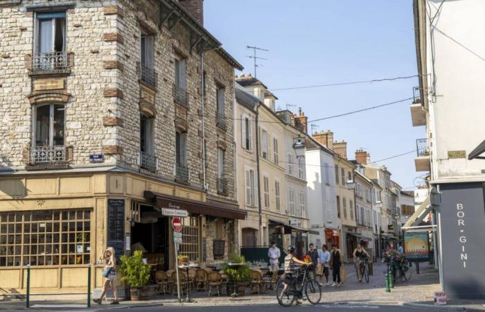 Meaux, Chelles, Pontault-Combault… What are the real estate prices in Seine-et-Marne?