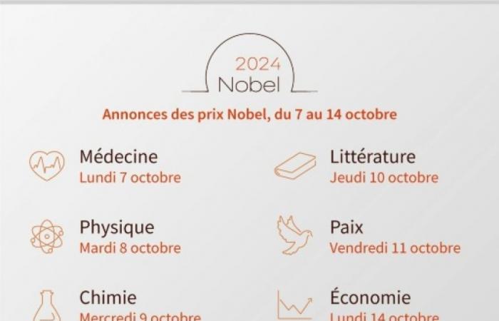 Nobel Prize in Chemistry 2024: Favorite chemical materials and AI-assisted research