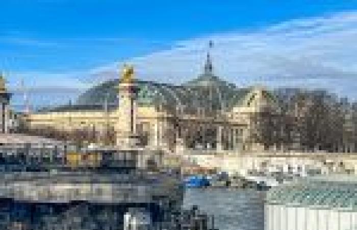 Art Basel Paris 2024: giant mushrooms decorate Place Vendôme