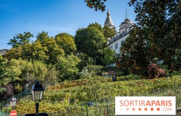 Montmartre Harvest Festival 2024: here are 5 events not to be missed