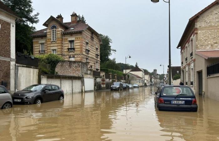 Seine-et-Marne goes into red alert, the peak of the flood expected tonight