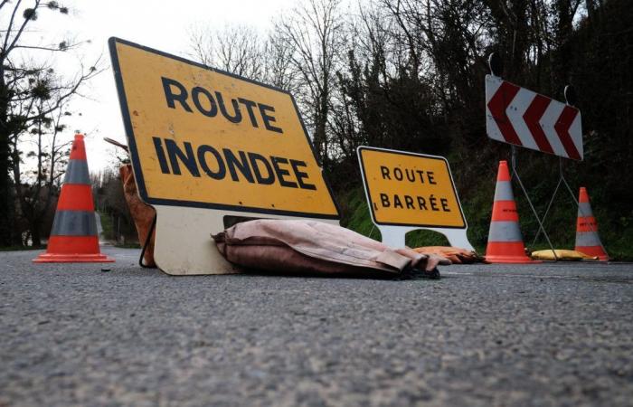 On red alert for floods, Seine-et-Marne bans school transport this Thursday