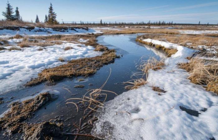 the melting of permafrost triggers an unforeseen chain reaction!