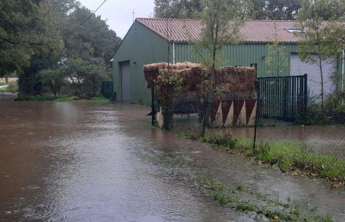 DIRECT – Kirk Depression: houses evacuated, roads flooded, follow the situation in Loire-Atlantique and Vendée