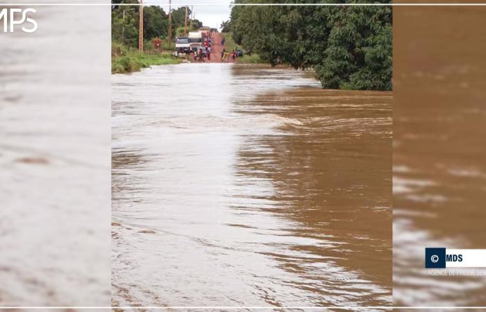 SENEGAL-ENVIRONNEMENT / Saraya isolated from the rest of the country by the overflow of the Falémé and backwaters (witness) – Senegalese press agency