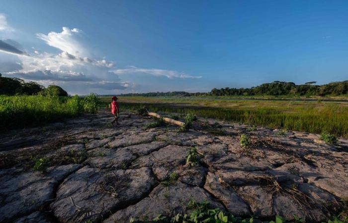 State of the Earth Study | “We are on the brink of an irreversible climate catastrophe”