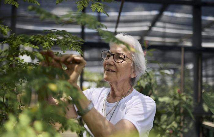 A Brazilian nun wins the Nansen Prize this year