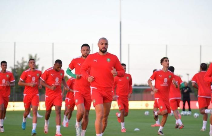 Morocco-Central Africa: the entire Atlas Lions in training