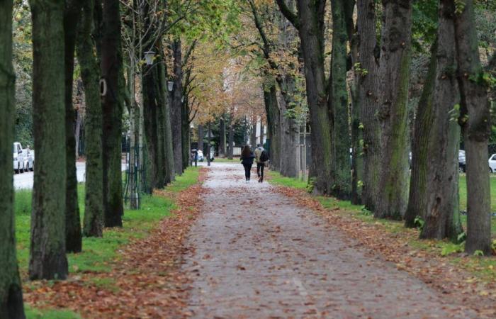 Murder of Philippine: Valérie Pécresse offers to co-finance video surveillance in the Parisian woods