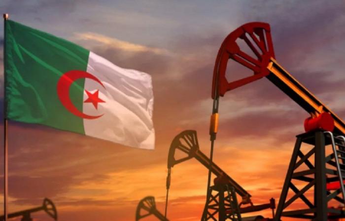 Algeria 7th world exporter of natural gas in 2023