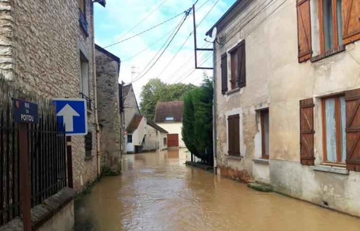 the flood has once again invaded the streets of the canton of La Ferté-Gaucher