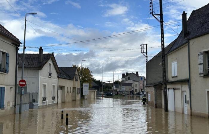 in La Ferté-Gaucher, “we no longer sleep when we know that the water is going to rise”