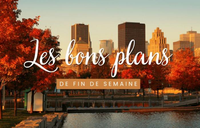 What to do this weekend in Montreal? October 11, 12, 13 and 14, 2024