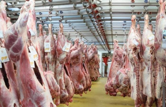 Red meats: prices out of control, but solutions exist