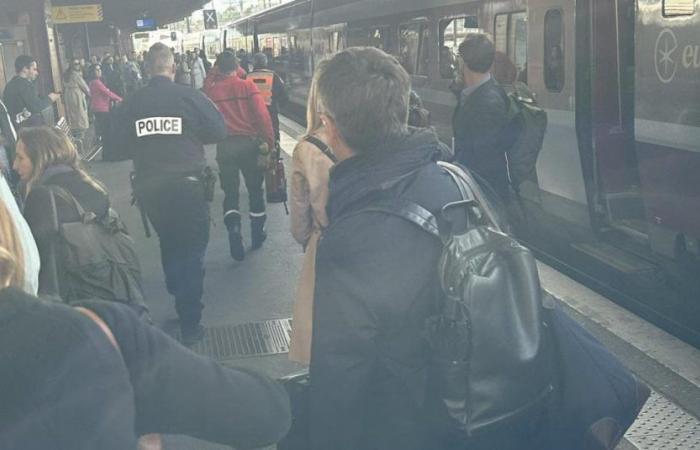 European parliamentarians still stuck in Strasbourg after an incident on their TGV