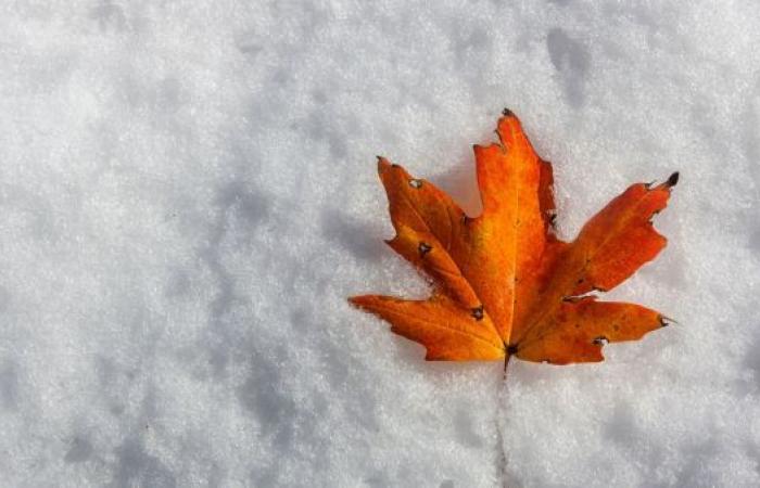 Southern Quebec: snow is already on the way