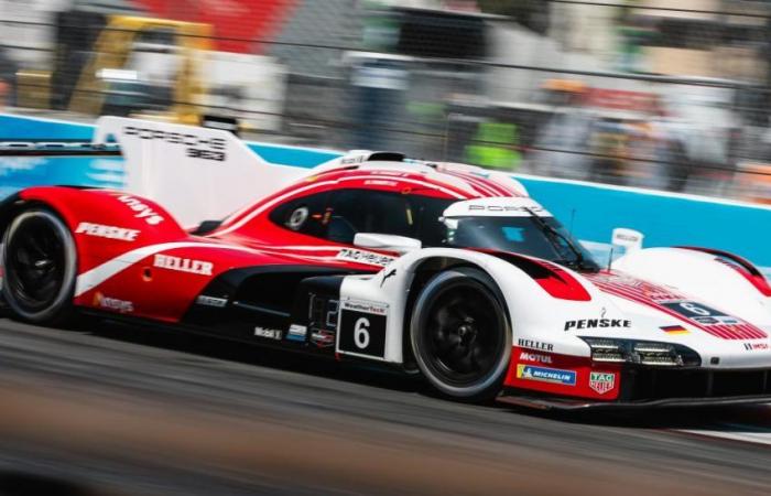 Two Frenchmen in quest for the title at Petit Le Mans