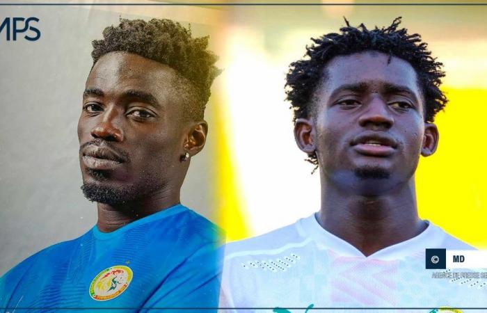 SENEGAL-AFRICA-FOOTBALL / National team A: Cheikh Lo Ndoye and Abdoul Aziz Ndiaye proud to join La Tanière – Senegalese press agency